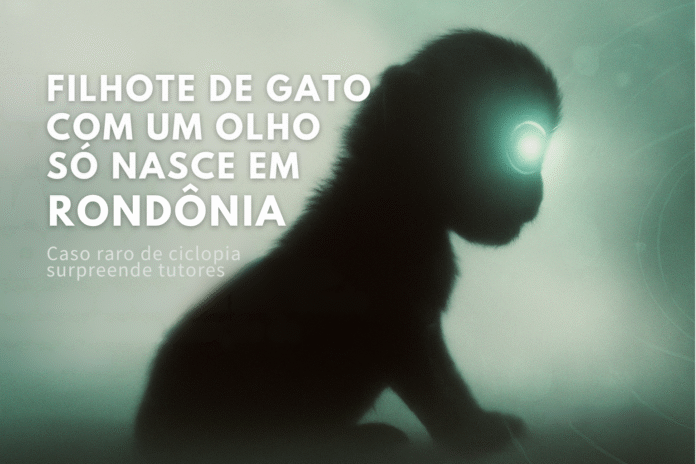 Silhueta simbólica de um filhote com um olho só, representando caso raro de ciclopia em Rondônia