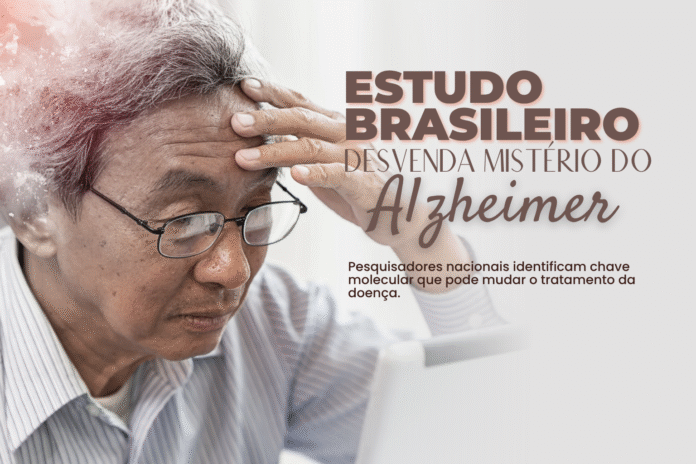 Estudo brasileiro desvenda mistério do Alzheimer com descoberta molecular inédita