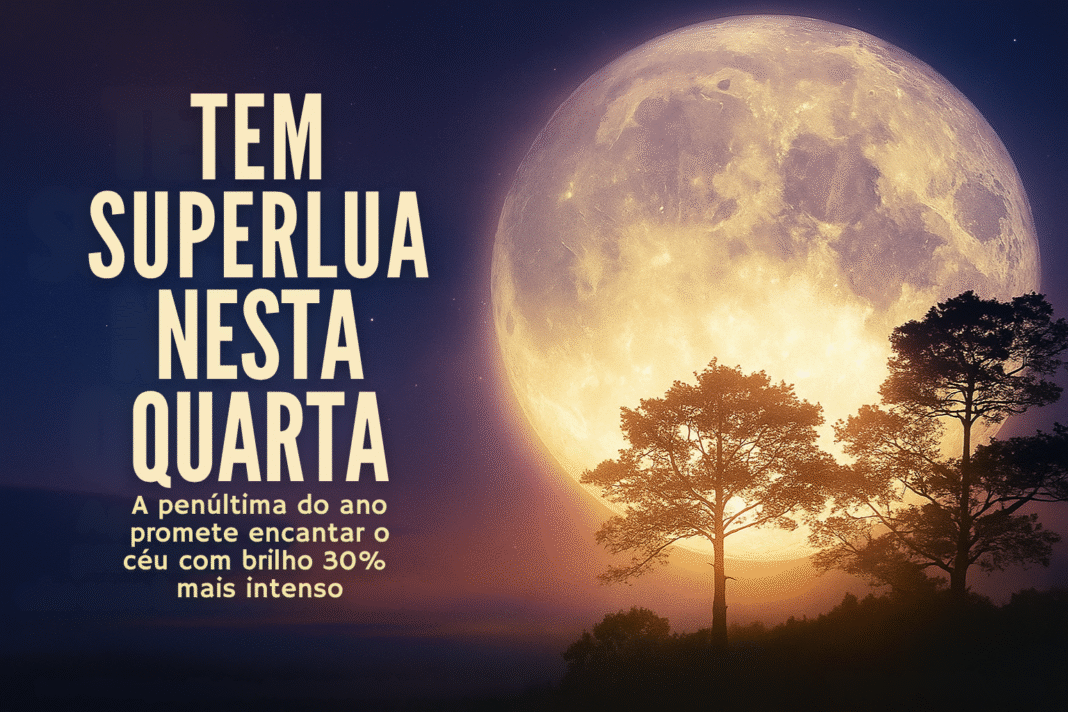 Superlua de novembro aparece gigante e mais brilhante no céu brasileiro, com silhuetas de árvores em primeiro plano