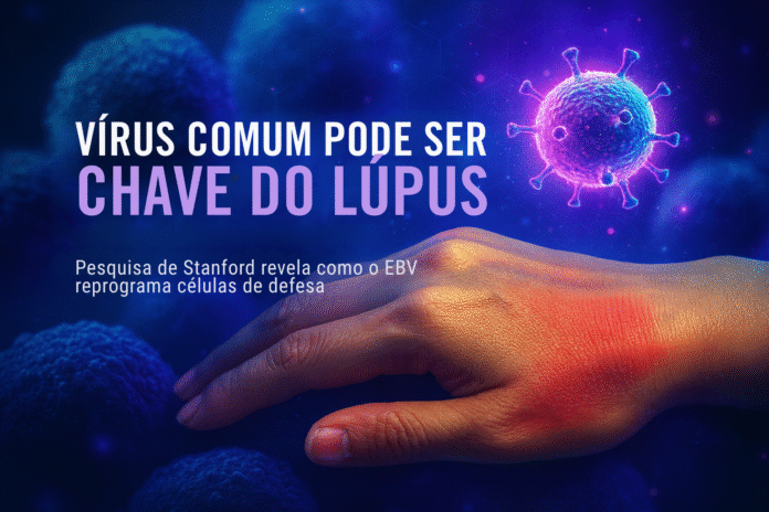 Vírus Epstein-Barr ao lado de mão com lesão inflamatória, ilustrando descoberta científica que liga EBV ao lúpus.