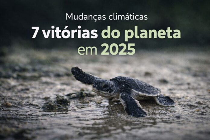 7 vitórias do planeta em 2025 tartaruga marinha simboliza vitórias do planeta e avanços ambientais em 2025