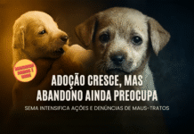 Adoção cresce, mas abandono ainda preocupa e mobiliza ações da Sema Cães filhotes representam adoção e abandono em Porto Velho, destacando ações da Sema contra maus-tratos.