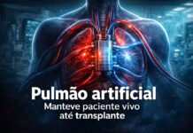 O pulmão artificial que manteve paciente vivo por dias até transplante Ilustração mostra pulmão artificial conectado ao corpo humano, mantendo paciente vivo até transplante pulmonar